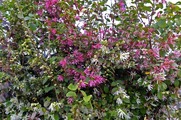 DSCF1835_R