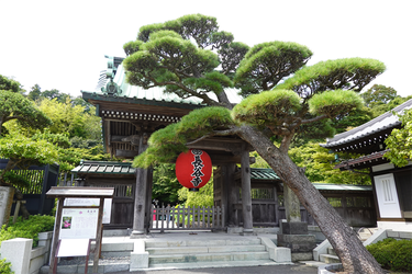 DSC02787_R