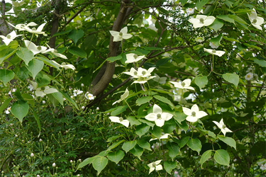 DSC07613_R