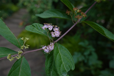 DSC08909_R