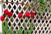 DSCF8159_R