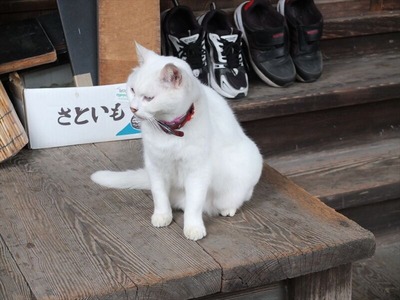 DSCF9591_R