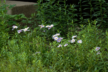 DSC08663_R