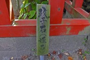 DSCF5484_R