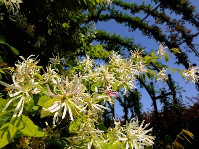 DSCF5472_R