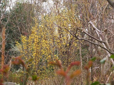 DSCF1471_R