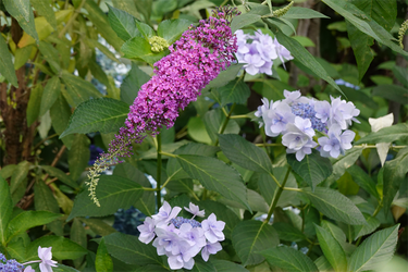 DSC08443_R