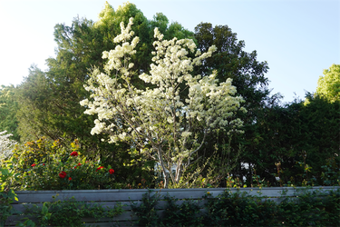 DSC06788_R