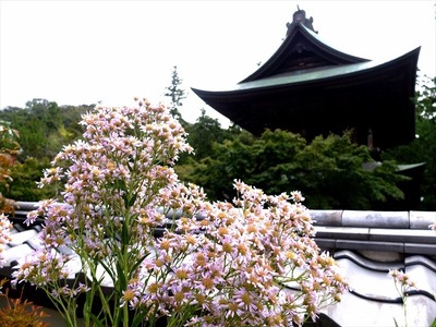 DSCF9022_R
