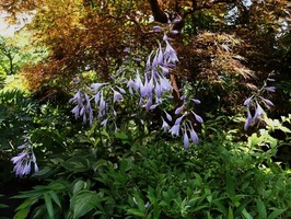 DSCF3545_R