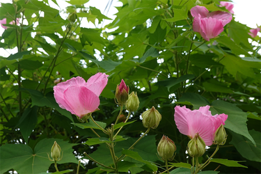 DSC09200_R