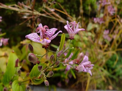 DSCF9019_R