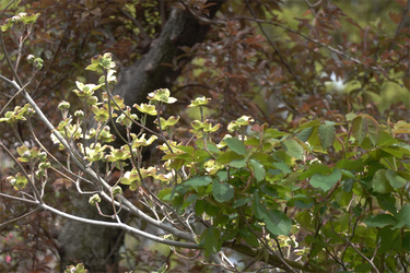 DSC06563_R