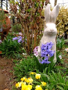 DSCF1344_R