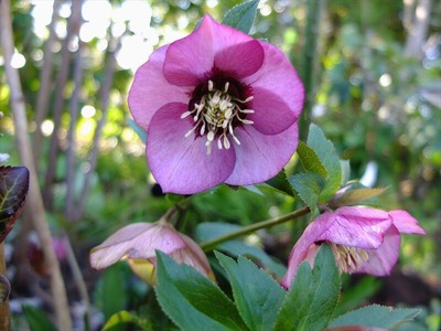DSCF4569_R