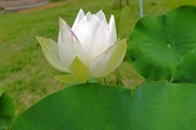 DSCF4088_R