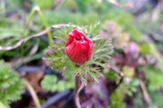 DSCF1779_R
