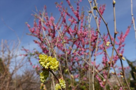DSC04355_R