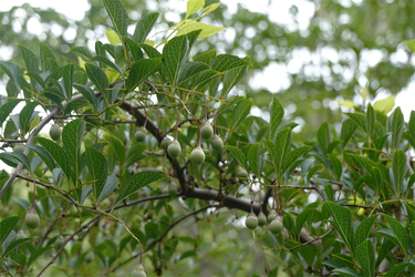 DSC08358_R