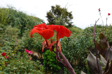 DSC09321_R