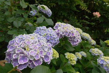 DSC08128_R