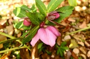 DSCF0425_R