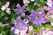 DSCF3318_R