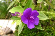 DSCF5082_R