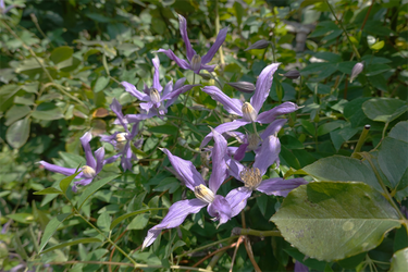 DSC08882_R
