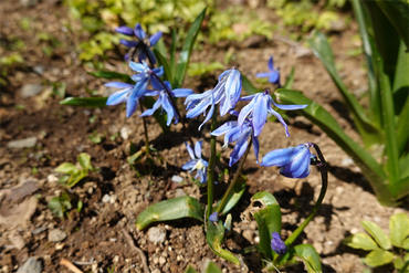 DSC05889_R