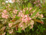 DSCF2115_R