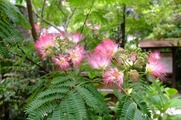 DSCF4620_R