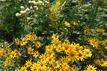 DSC08770_R