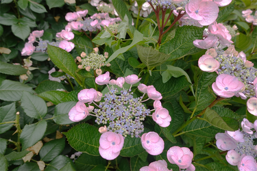 DSC08099_R
