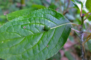 DSCF3656_R