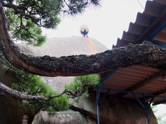 DSCF9650_R