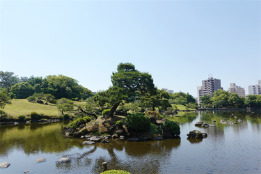 DSC07860_R