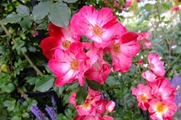 DSCF3468_R