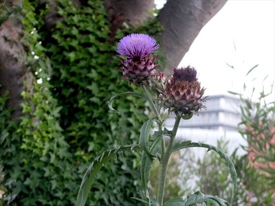 DSCF4703_R