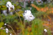 DSCF8153_R