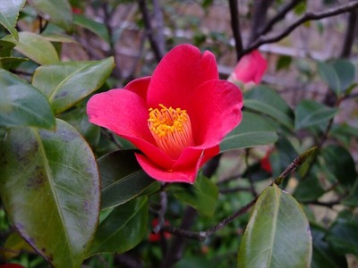 DSCF1217_R