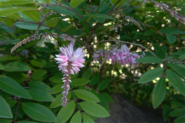 DSC05946_R