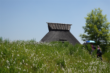 DSC07950_R