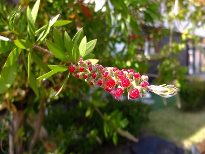 DSCF2923_R