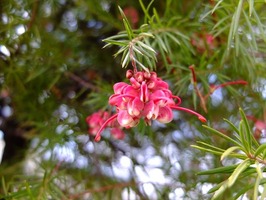 DSCF7569_R