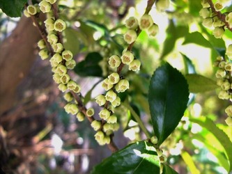 DSCF8866_R