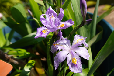 DSC06359_R