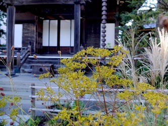 DSCF6355_R