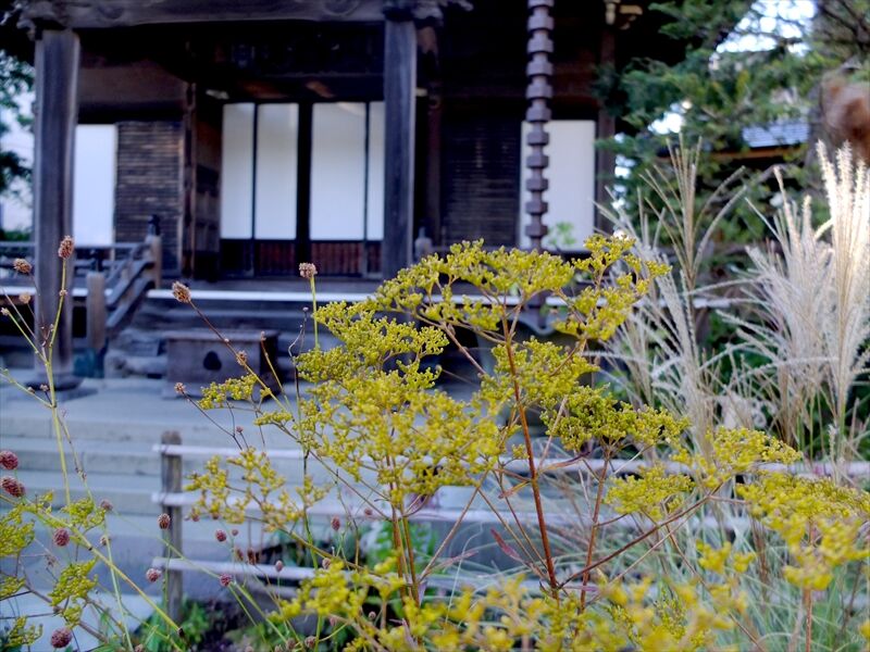 藍川京 の部屋 鎌倉 大巧寺 秋景色 1 Livedoor Blog ブログ 藍川京 の部屋 鎌倉 大巧寺 秋景色 1 Livedoor Blog ブログ