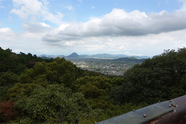 DSC09530_R